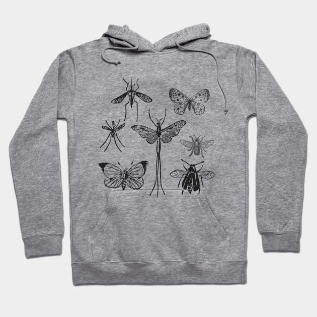 Moths & Butterflies & Insects Hoodie by zeljkica